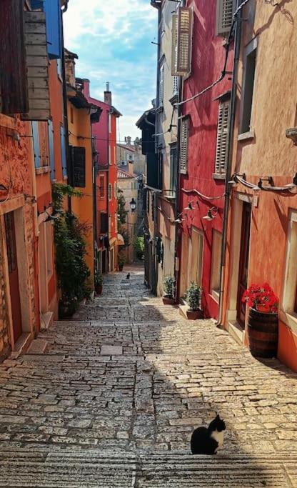 Little Heaven Apartment Rovinj Exterior photo
