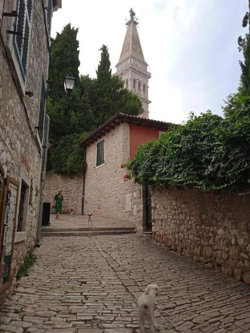 Little Heaven Apartment Rovinj Exterior photo